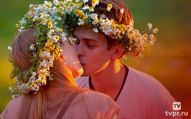 Чужое гнездо