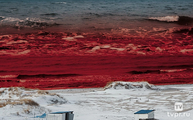 Пальмникенская трагедия