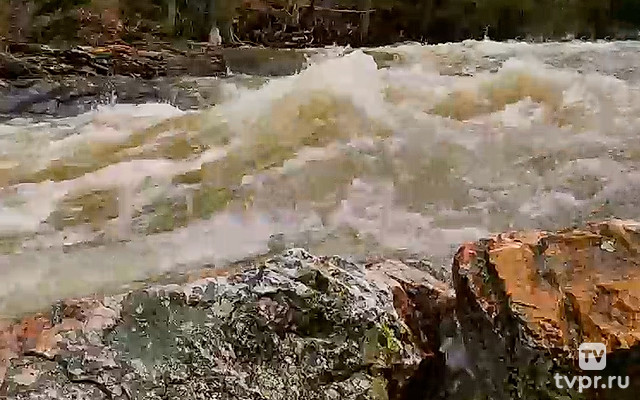 Река Реветь