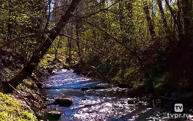 Река Муратовка