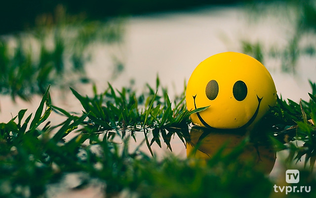 Игры команды «Наполеон-Динамит» (Челябинск, Тюмень)