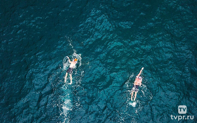 Плавание на открытой воде. Кубок России. Женщины. 5 км