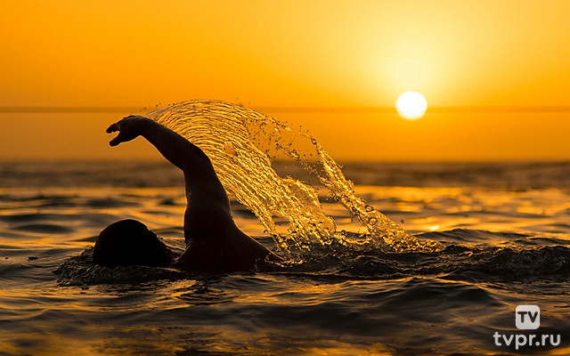 Чемпионат мира по водным видам спорта. Плавание. Открытая вода. Мужчины 3 км. Трансляция из Сингапура