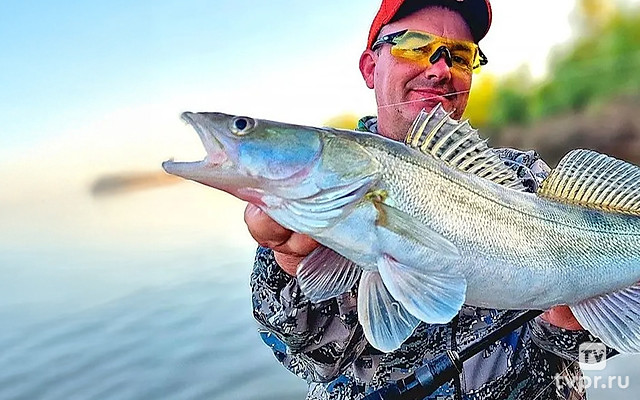 БАгатый улов