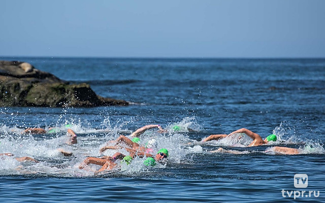 Чемпионат Европы по водным видам спорта. Открытая вода. Мужчины 10 км. Трансляция из Франции