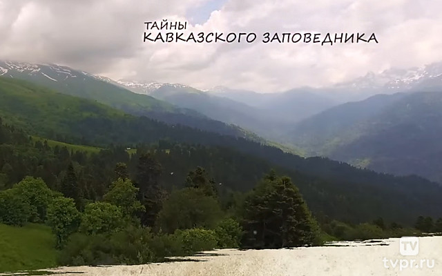 Тайны Кавказского заповедника
