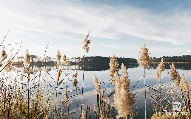 Зог и реки рая