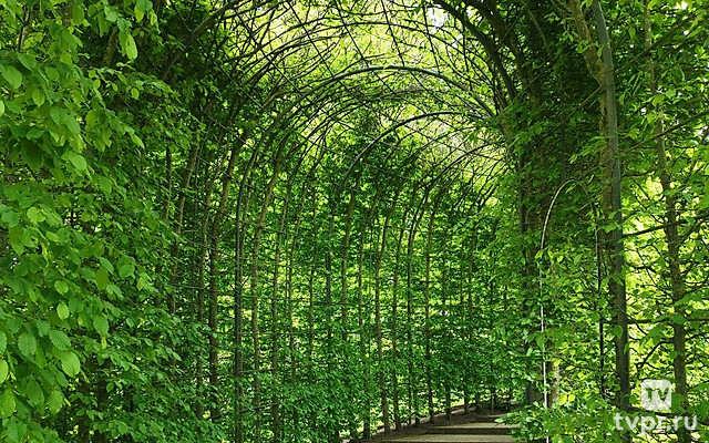 Летние работы с Мариной Рыкалиной