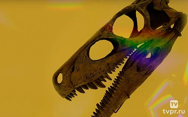 Динозавры. Как они исчезли