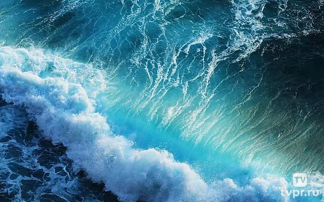 Морские титаны: покорение океана