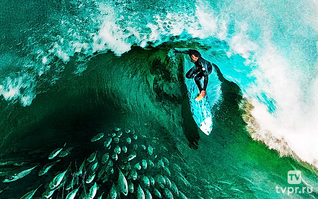 На Волнах Южной Африки