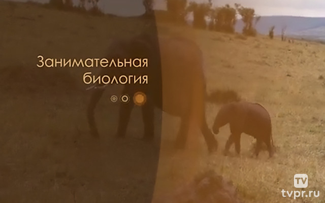 Занимательная биология