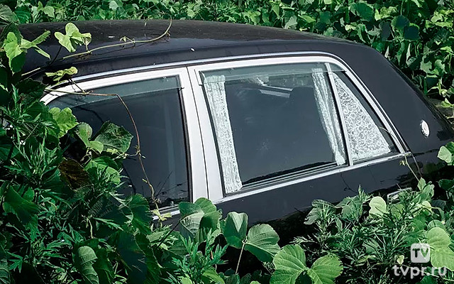 Фукусима: природа в зоне катастрофы