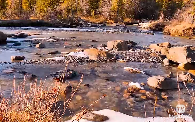 Горный лес Босния и Герцеговина