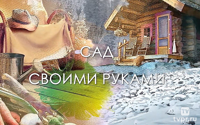 Сад своими руками