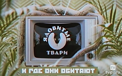 Ядовитые твари и где они обитают