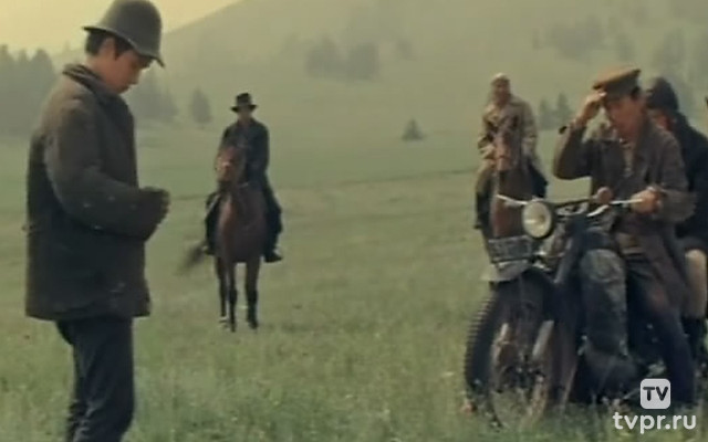 Горький можжевельник