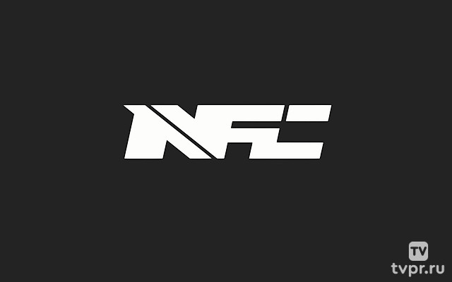 National Fighting Championship 19, Germany