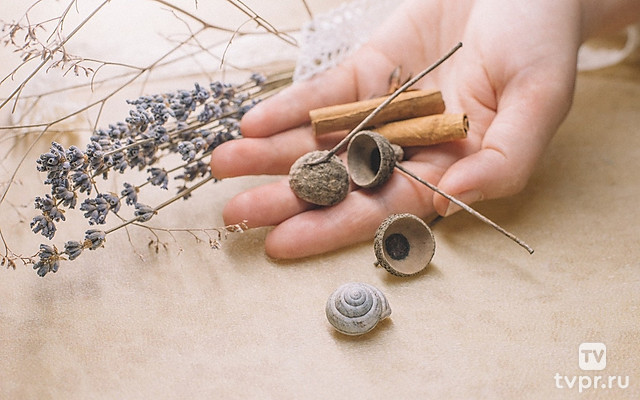 Русский голландец