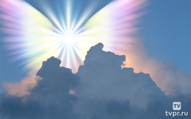 Ангелы надежды