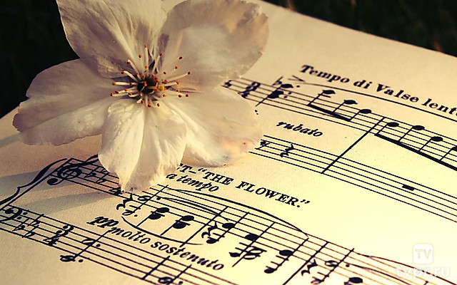 Концерт ко Дню молодёжи