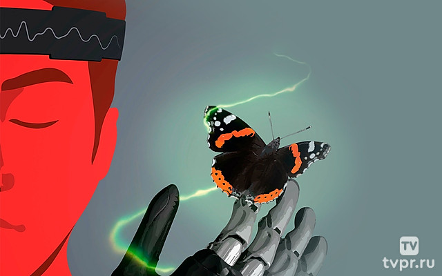 Чувственный контакт