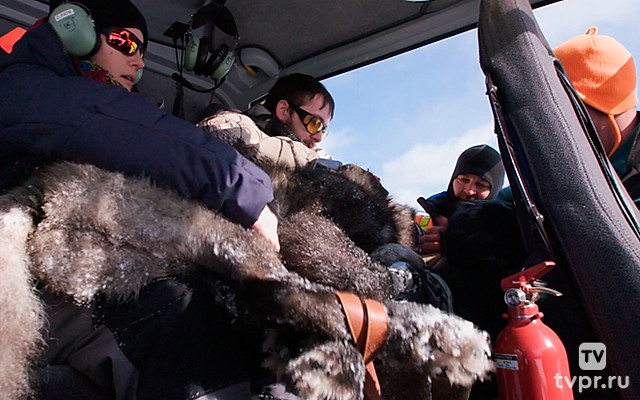 Возвращение волков