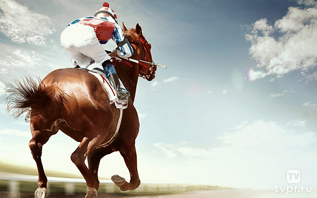 Конный спорт. Скачки. Трансляция из Нальчика
