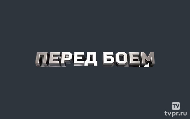 Перед боем