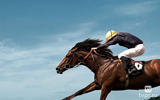 Конный спорт. Скачки. Большой приз для кобыл (OAKS). Трансляция из Грозного