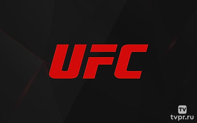 UFC. Лучшие нокауты