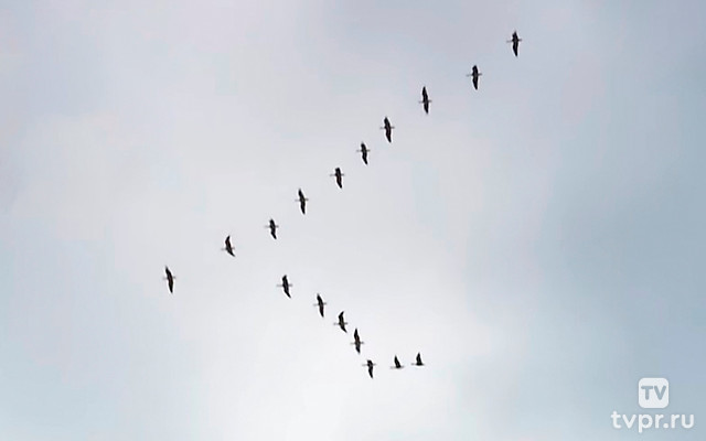 Дороги войны. Богородица «Ратная» из Вяземского котла