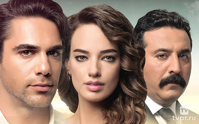 Научи меня любить