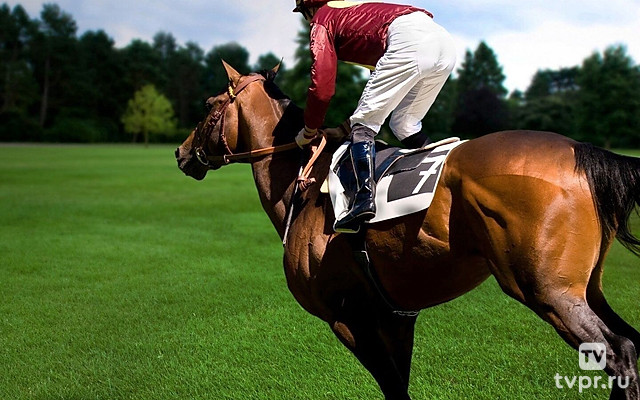 Конный спорт. Скачки. Трансляция из Краснодара