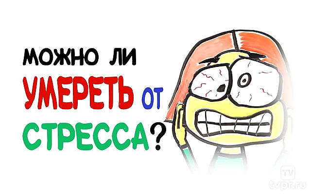 Можно ли умереть от стресса?