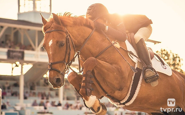 Конный спорт. Скачки. Большой приз для кобыл (OAKS). Трансляция из Нальчика