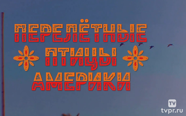 America's Migrant Birds