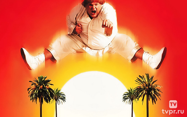 Ниндзя из Беверли-Хиллз