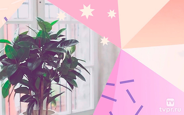 Базовый женский курс №1