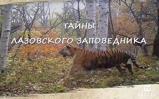 Лазовский заповедник