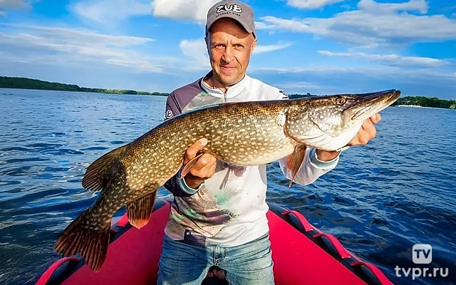 Зубастая рыбалка