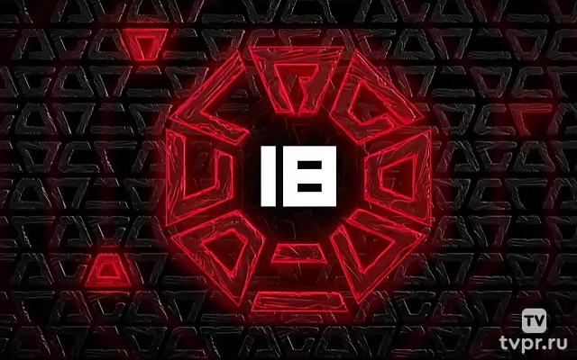 Octagon 18 (MMA, профессионалы)