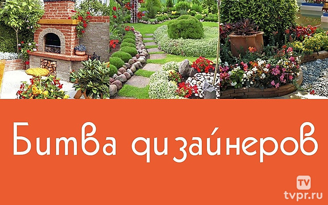 Битва дизайнеров