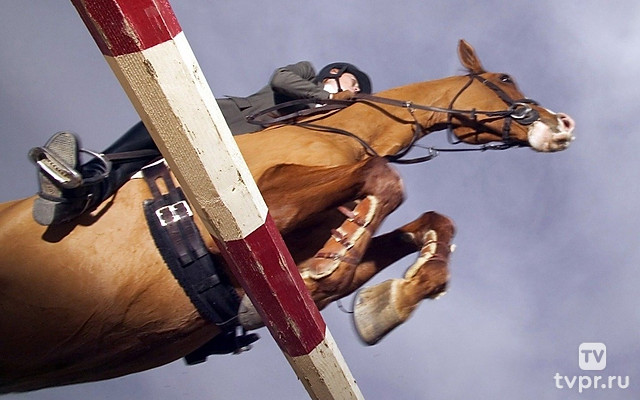 Конный спорт. Скачки. Большой Грозненский приз (Дерби). Трансляция из Грозного
