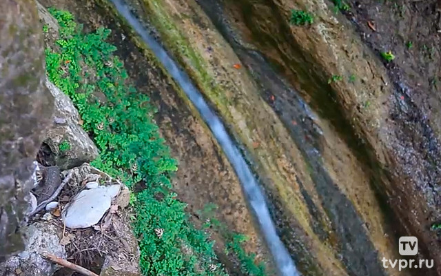 Долина бабочек