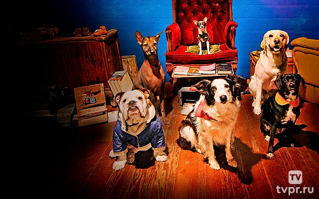 Пушистый патруль