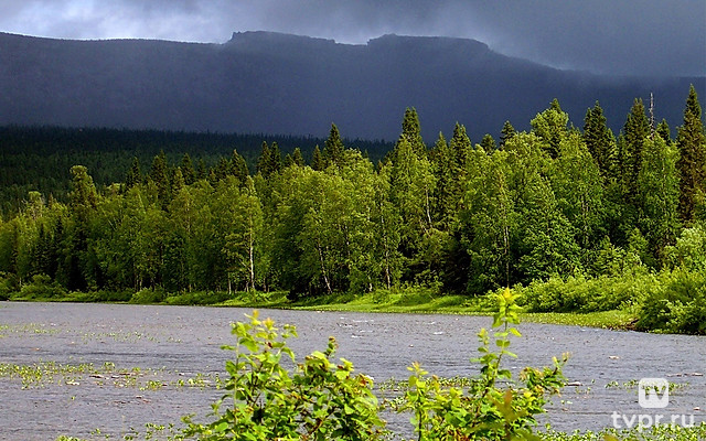 Печоро-Илычский заповедник