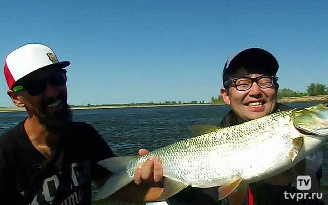 За хищником на Волгу