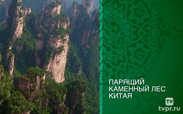 Парящий каменный лес Китая