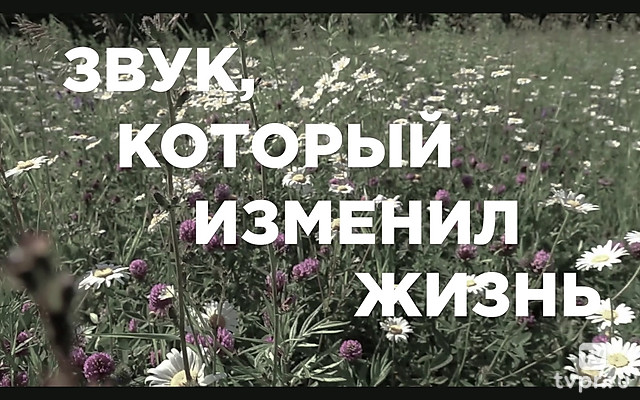 Звук, который изменил жизнь